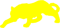 Panther Alumni