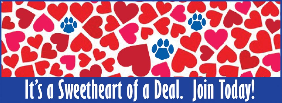Surprise your Valentine with Alumni Association membership!
